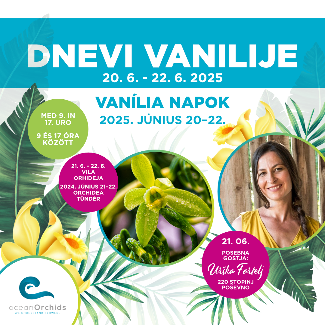 DAN VANILIJE